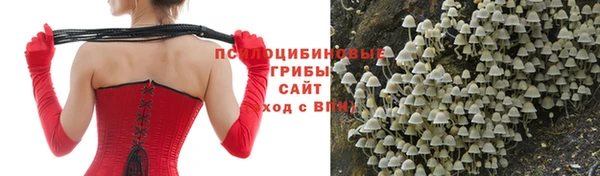 скорость Гусь-Хрустальный