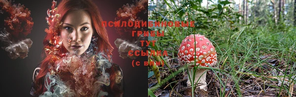 трава Горно-Алтайск