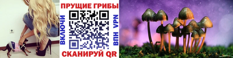 mega зеркало  где купить наркоту  Рудня  Галлюциногенные грибы Magic Shrooms 